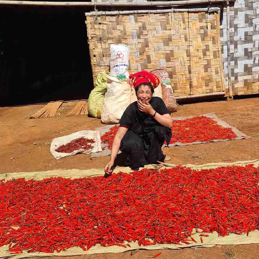 Chili fra Myanmar
