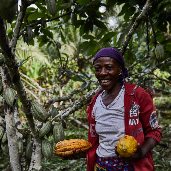 Utrolig smagfuld kakaonibs fra Congo