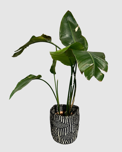 Håndflettet naturkurv fra Kenya